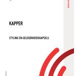Kapper - Styling en gelegenheidskapsels